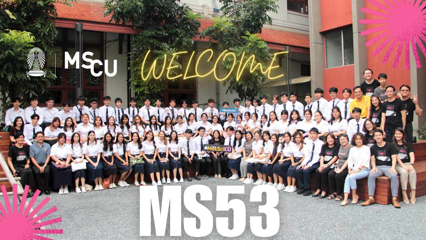 MS53